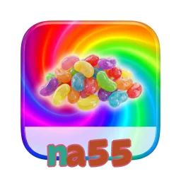 na55